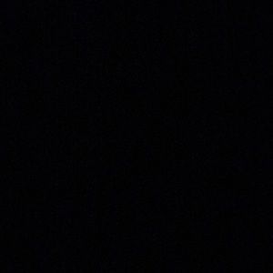 Meet your Posher, Daisy